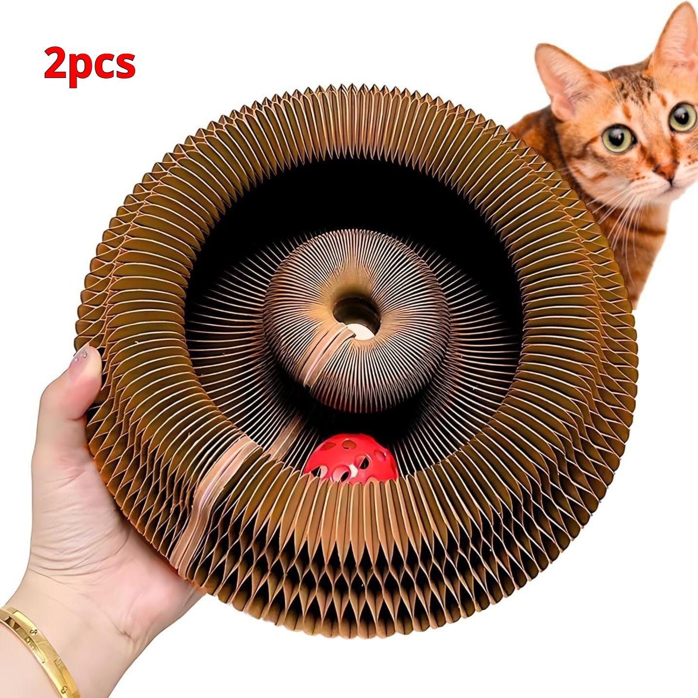 Cat Toy with Bells Accordion
