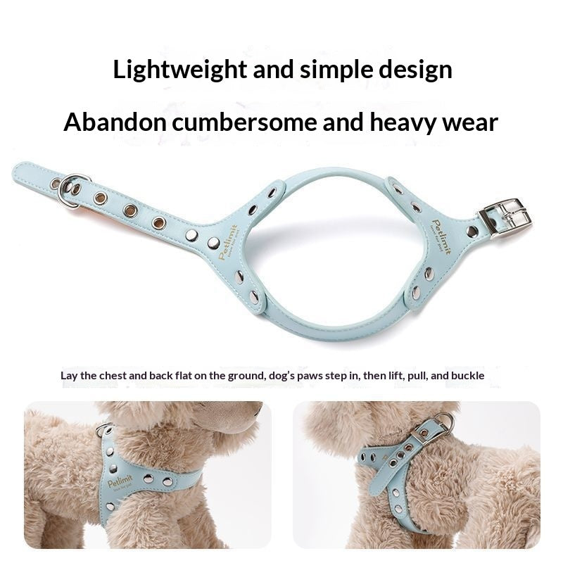 Puppy Leash and Leather Chest Harness for Small