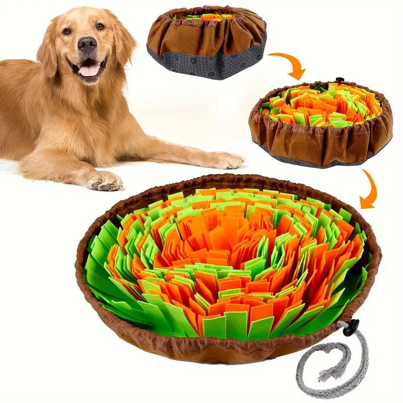 Pet Toy Dog Food