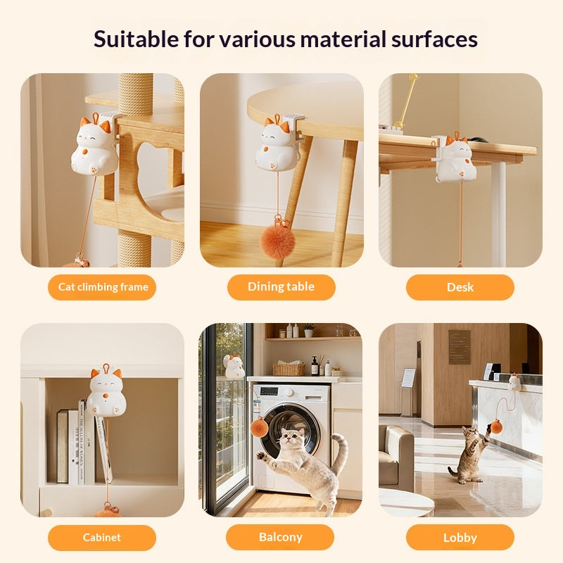 Elevating Smart Pet Cat Self