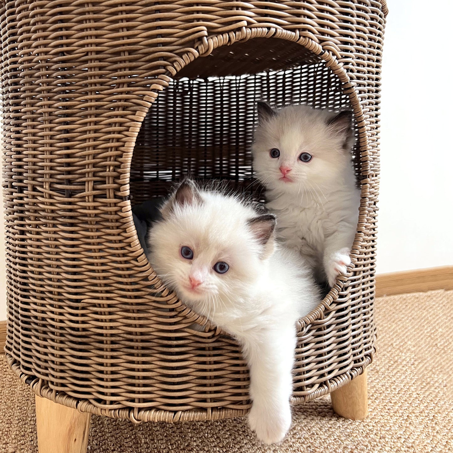Warm, Semi-enclosed Wicker Cat Bed For Winter
