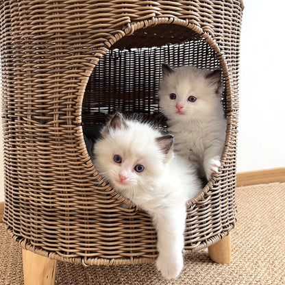 Warm, Semi-enclosed Wicker Cat Bed For Winter