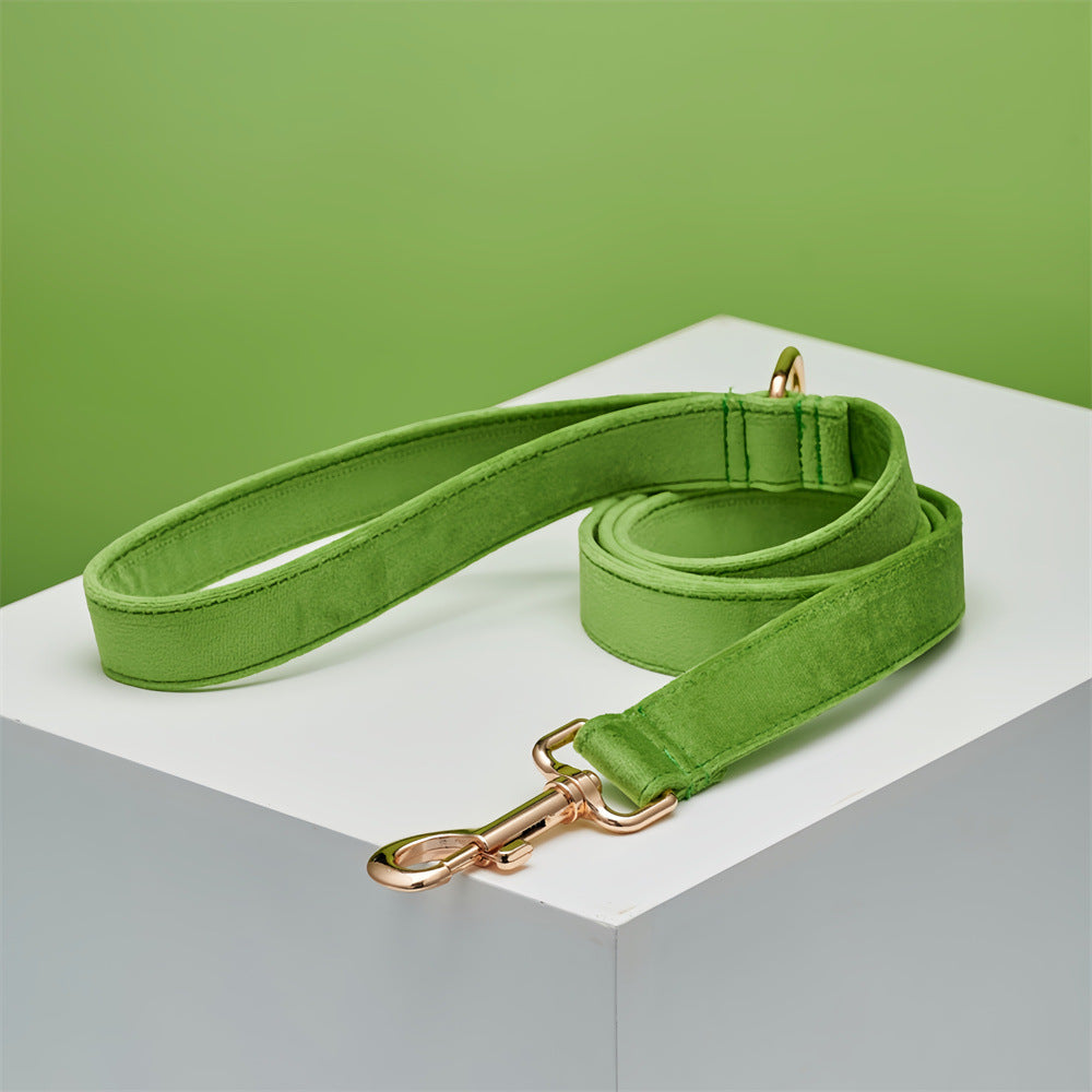 Dog Outdoor Leash High