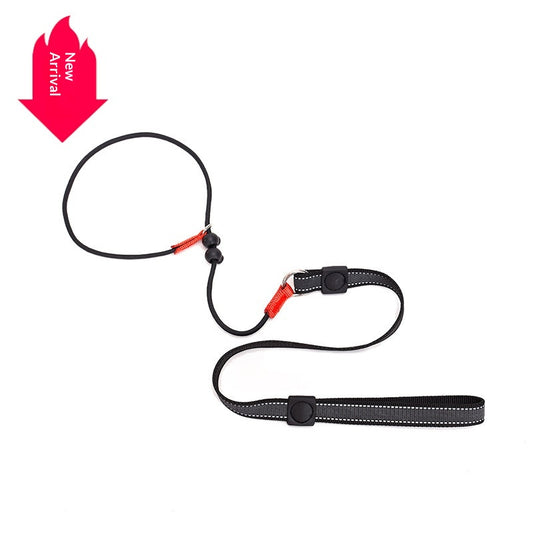 New Non-Slip Dog Training Leash Burst-Stop Choke Chain