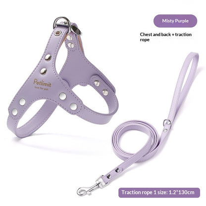 Puppy Leash and Leather Chest Harness for Small