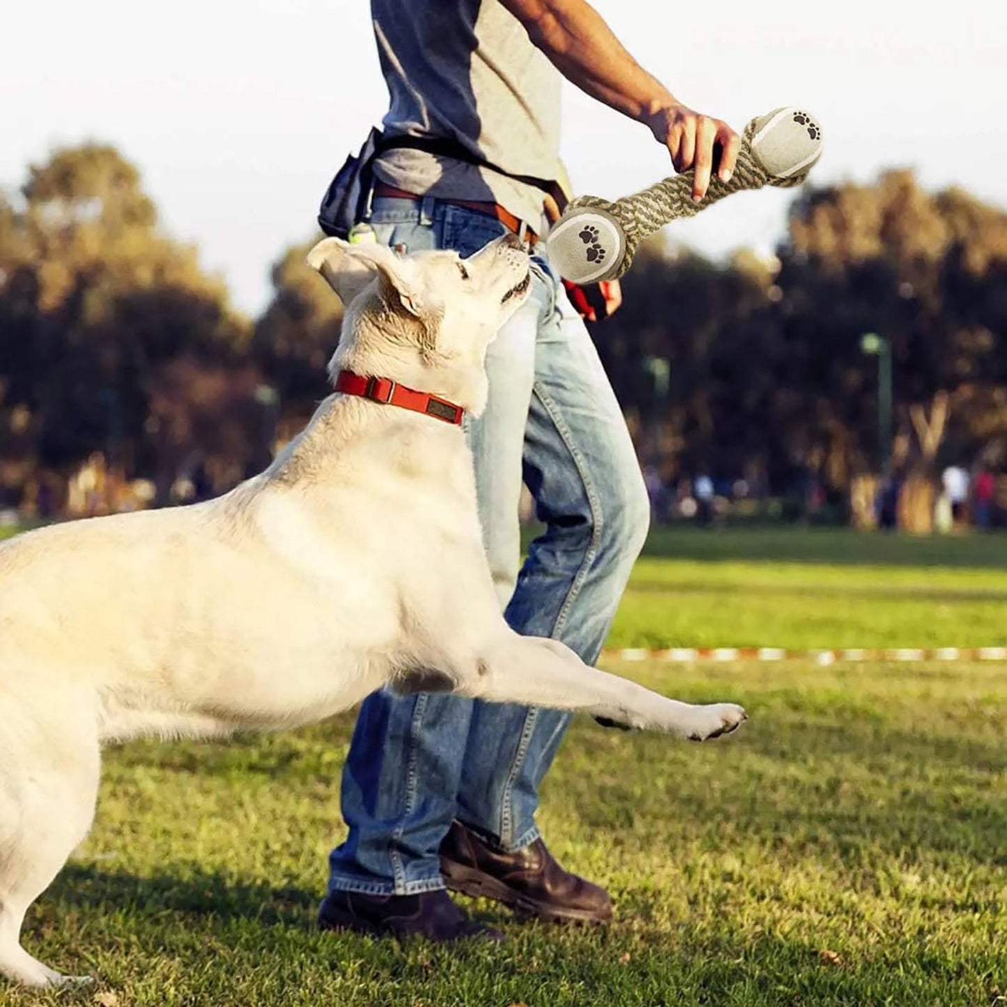 Pet Dog Toys for Large Small Dogs Toy