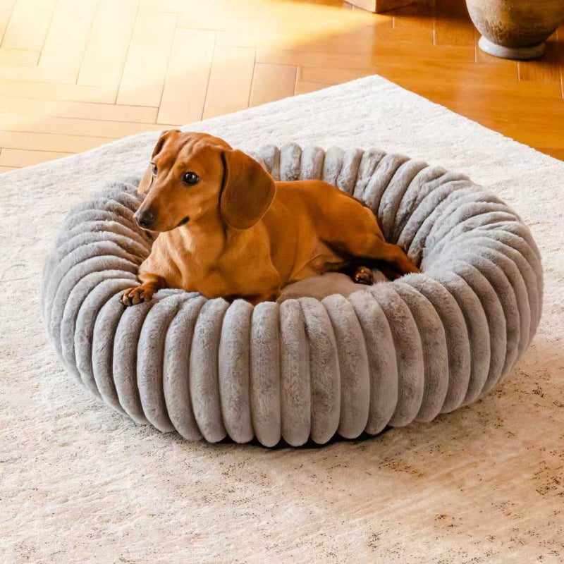 Pet Bed High