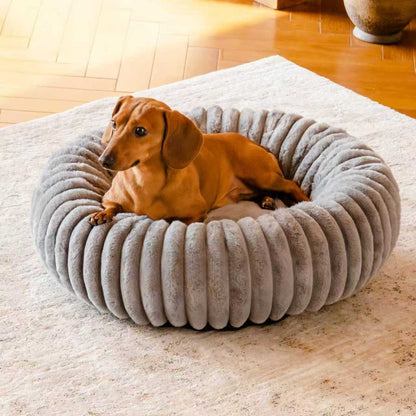 Pet Bed High