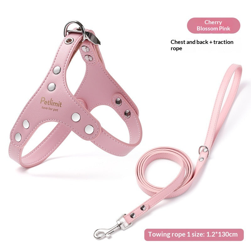 Puppy Leash and Leather Chest Harness for Small
