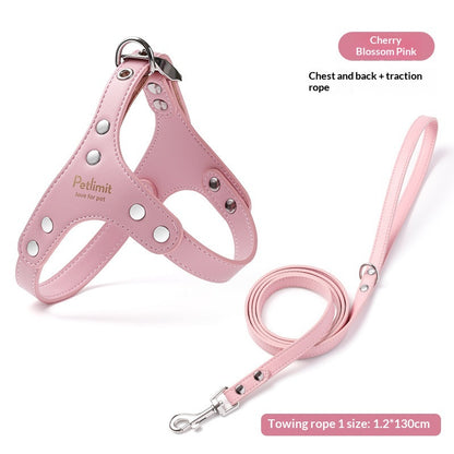 Puppy Leash and Leather Chest Harness for Small