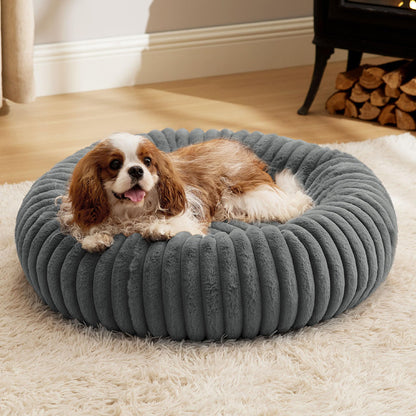 Pet Bed High
