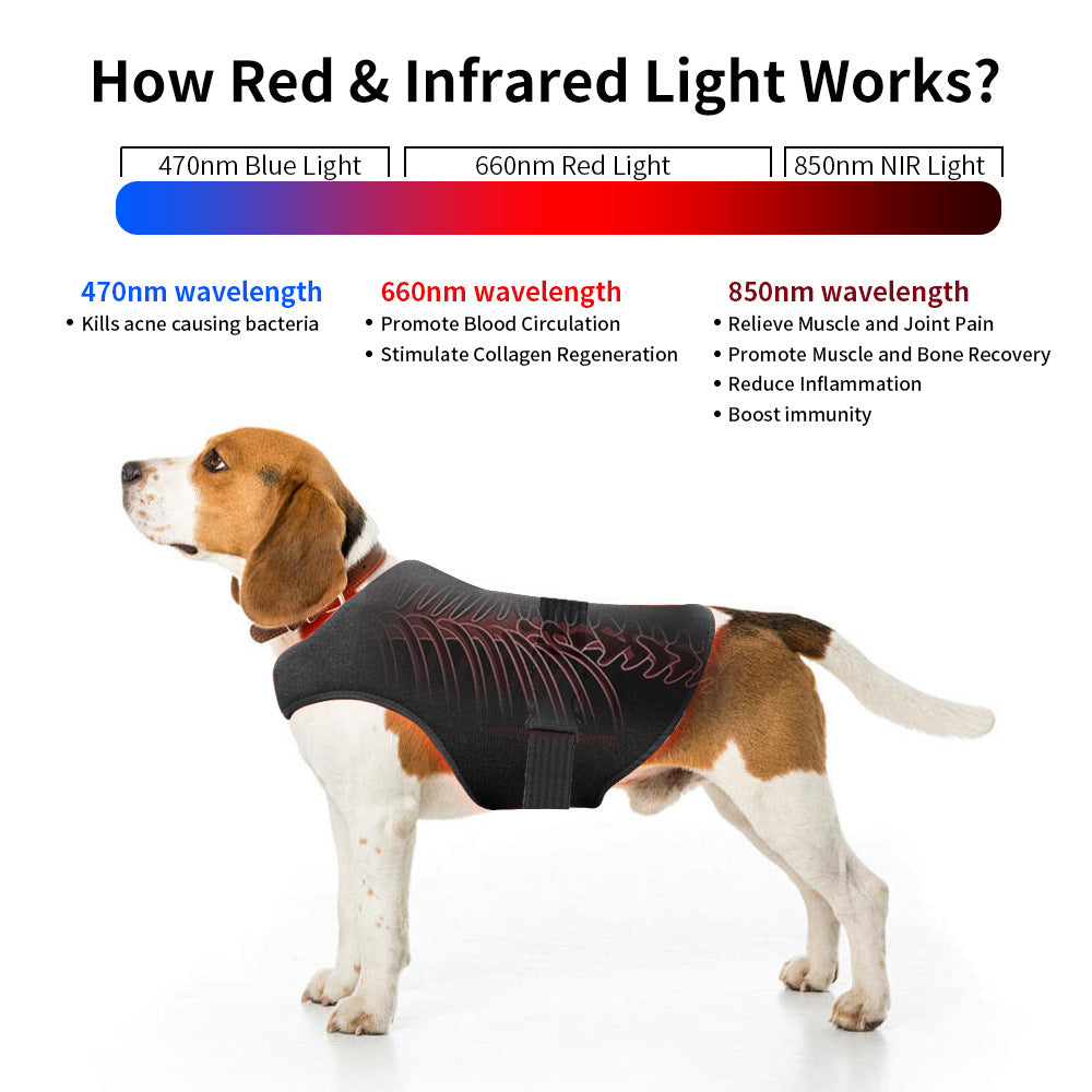 Portable Led Backrest Therapy Belt for Pets