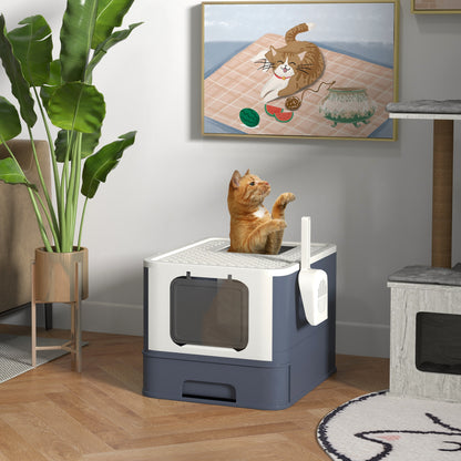 Cat Litter Box with Lid