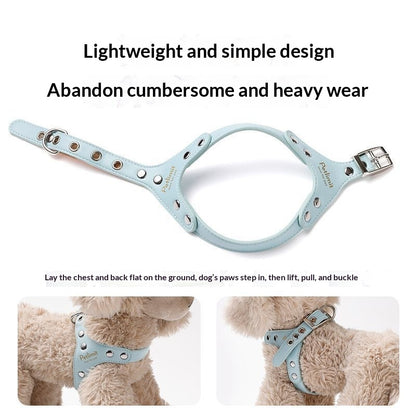 Puppy Leash and Leather Chest Harness for Small