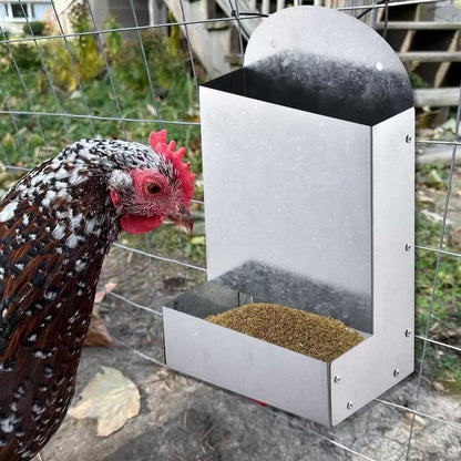 Poultry Feeding Metal Trough Chicken Parrot Bird Small