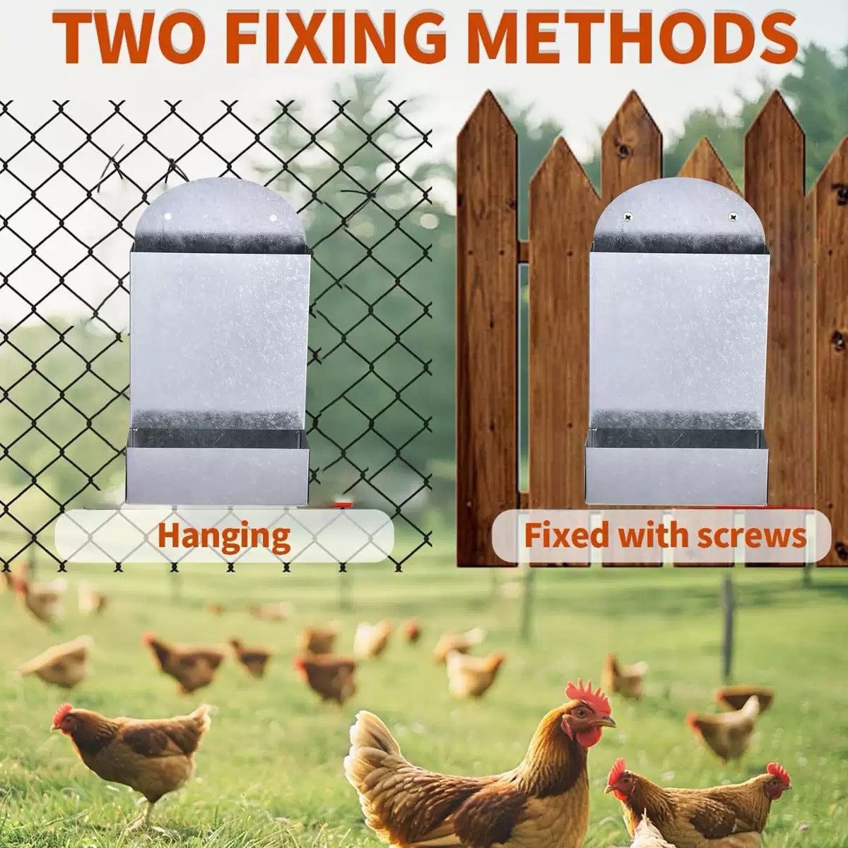 Poultry Feeding Metal Trough Chicken Parrot Bird Small
