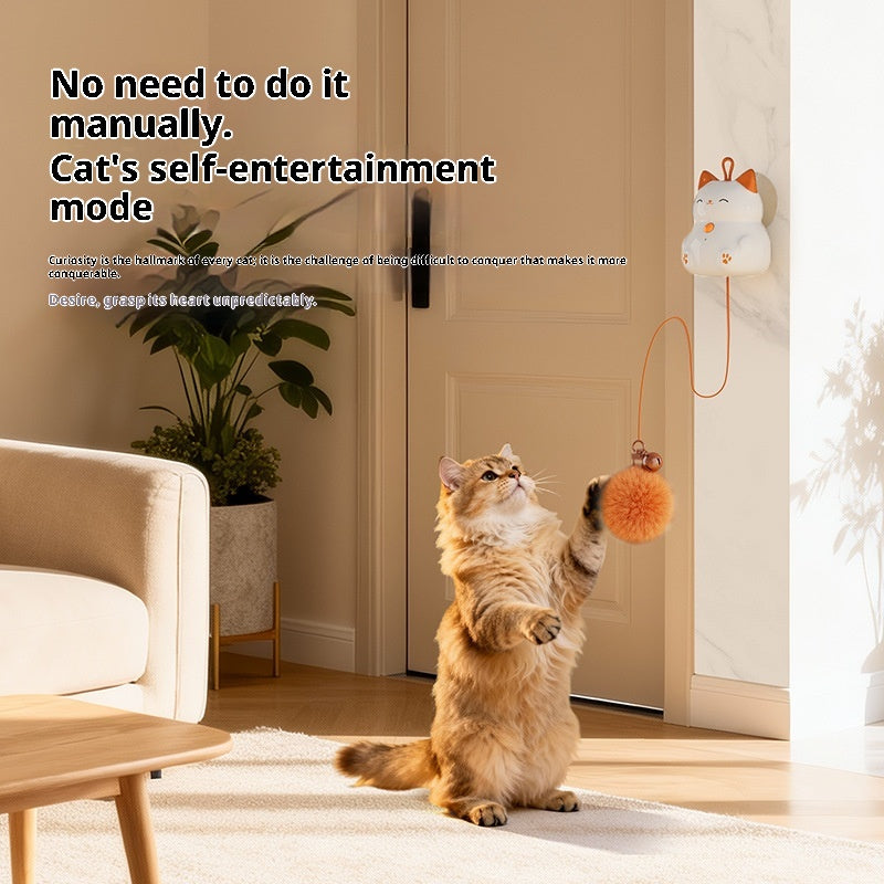Elevating Smart Pet Cat Self