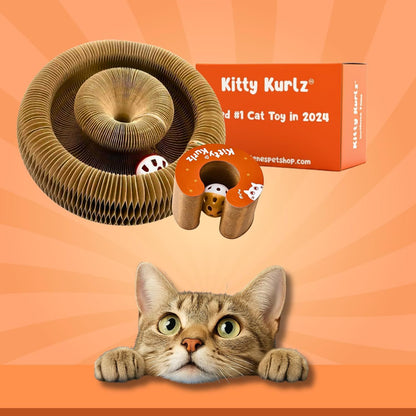 Cat Toy with Bells Accordion