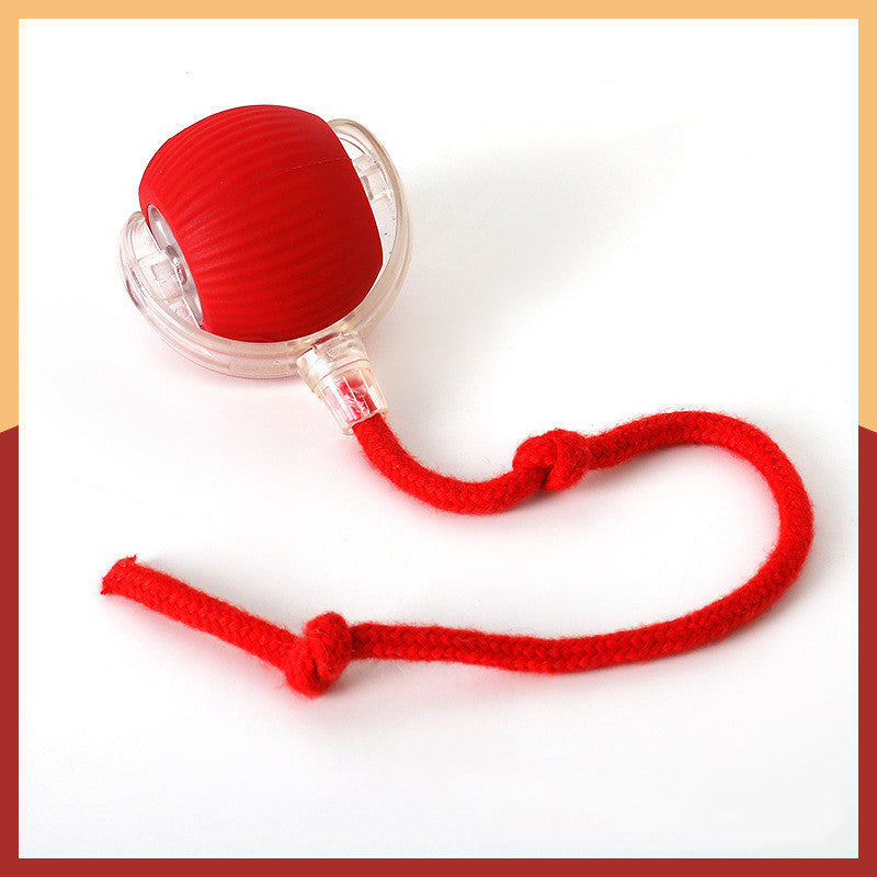 Combo Pet Toys