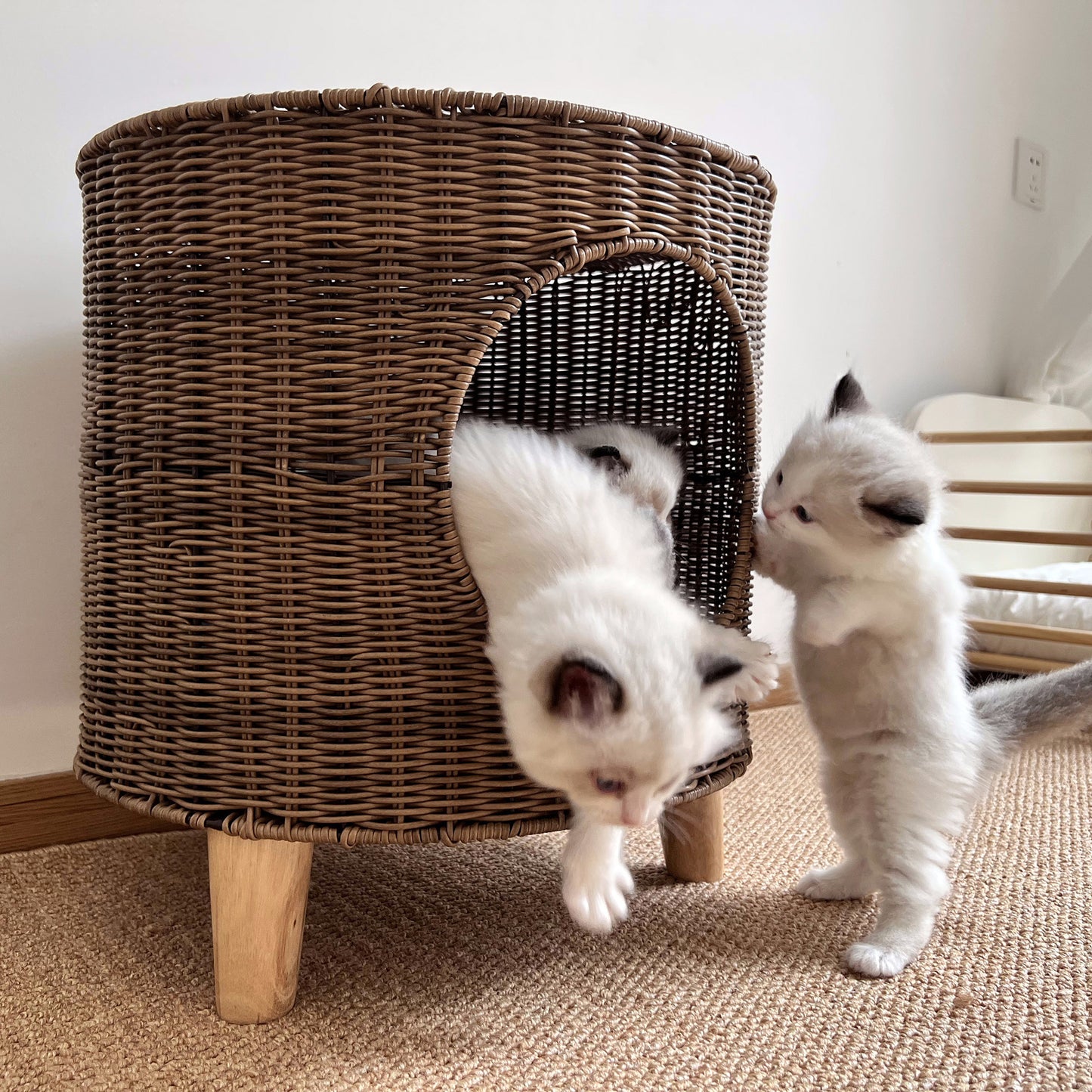 Warm, Semi-enclosed Wicker Cat Bed For Winter