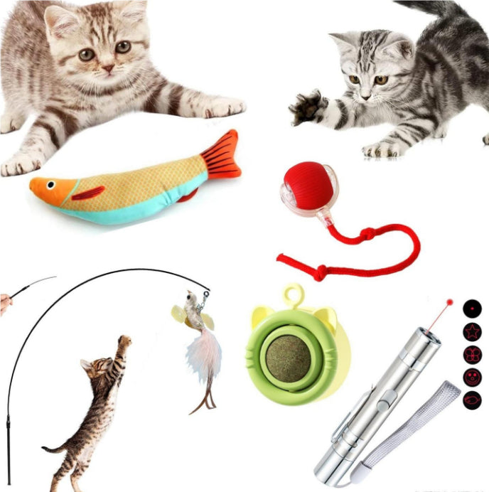 Cat Toy Self