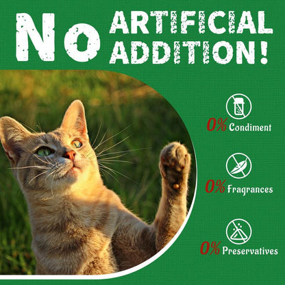 Cat Grass Biscuits Snacks and Pet Health Supplements
