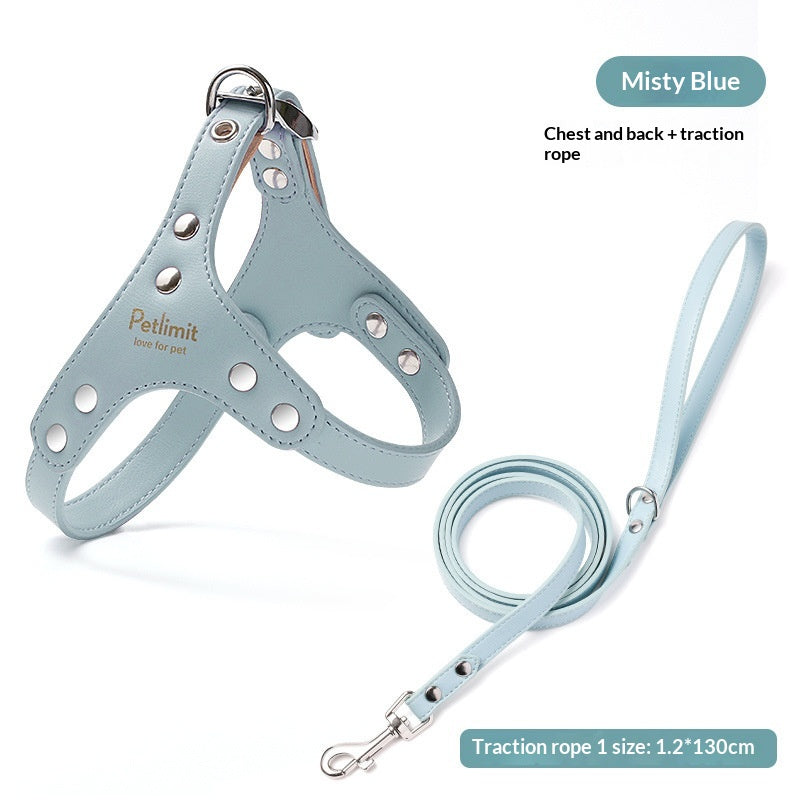 Puppy Leash and Leather Chest Harness for Small