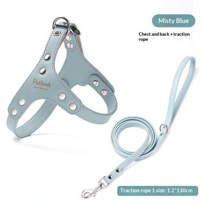 Puppy Leash and Leather Chest Harness for Small