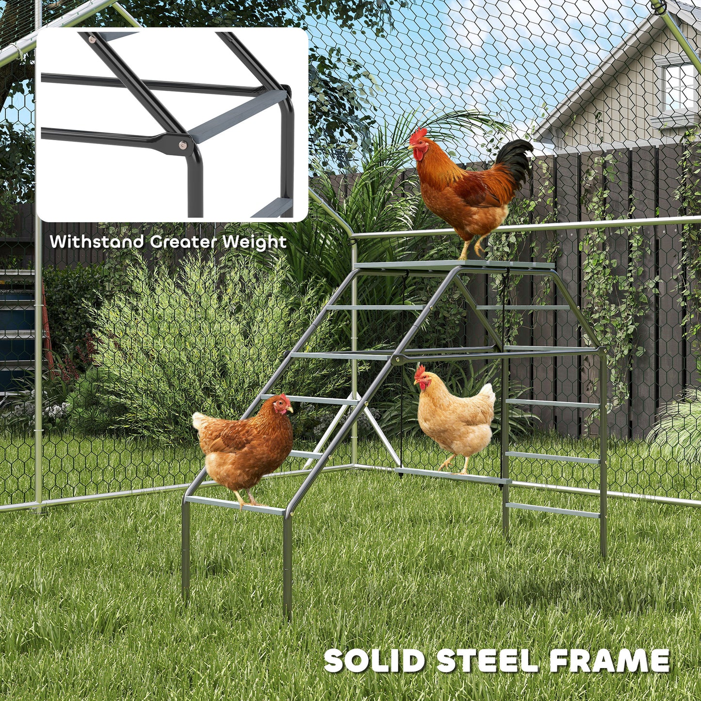 Chicken Coop Perches with Adjustable Swing