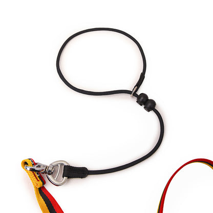 Minimalist Pet Leash Easy