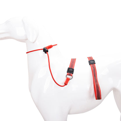 New Non-Slip Dog Training Leash Burst-Stop Choke Chain