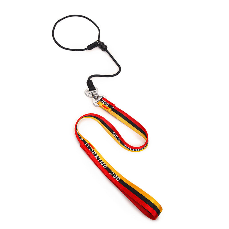 Minimalist Pet Leash Easy