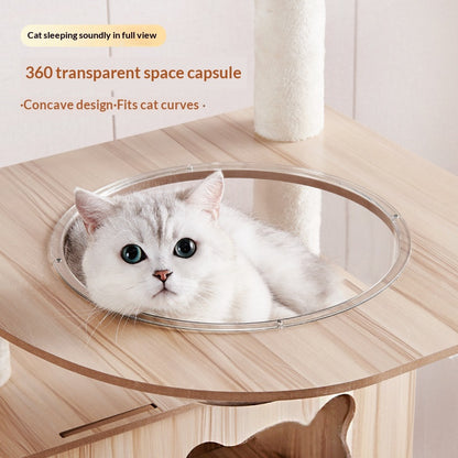 Wood-Based Particleboard Pet House Design with Built-In Cat