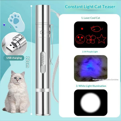 Cat Toy with Usb Charging
