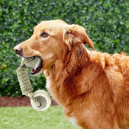 Pet Dog Toys for Large Small Dogs Toy