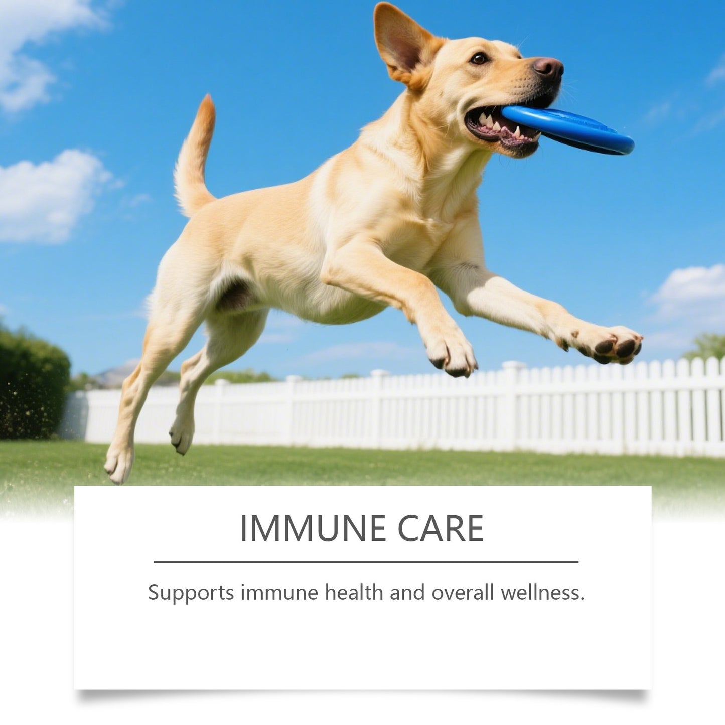 Gentle Formula for Daily Pet Carechewable Tablets For
