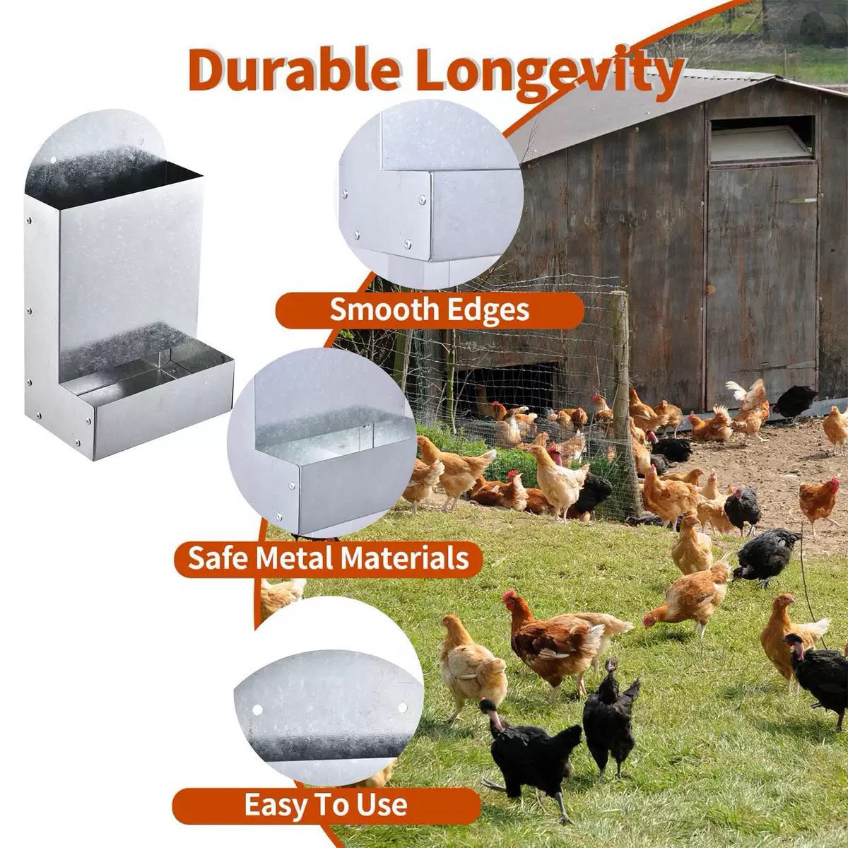 Poultry Feeding Metal Trough Chicken Parrot Bird Small