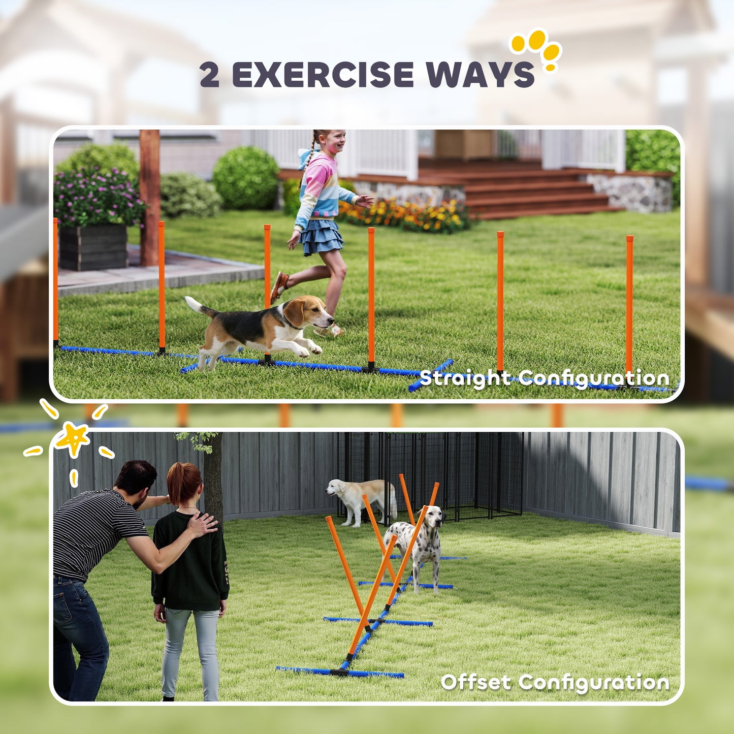 Dog Agility Training Equipment Adjustable Poles for Dog