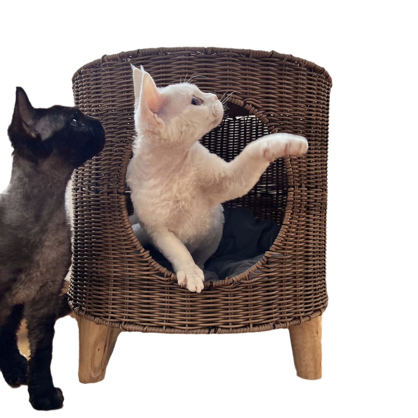 Warm, Semi-enclosed Wicker Cat Bed For Winter
