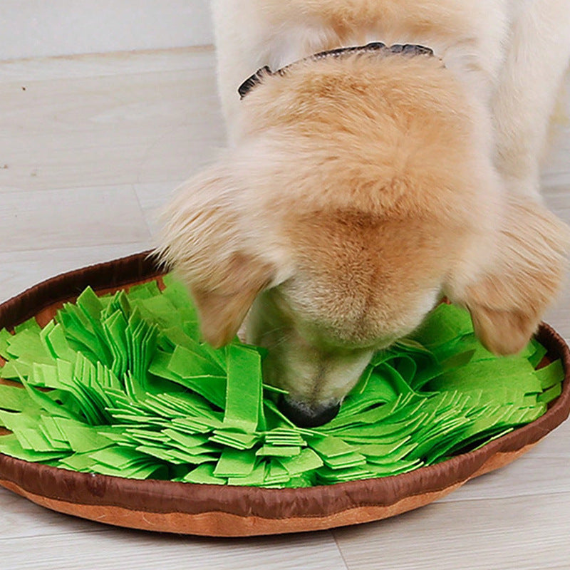 Pet Toy Dog Food