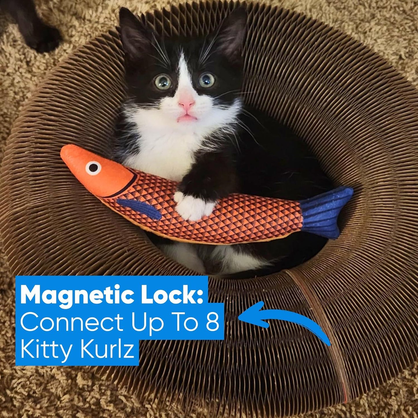 Cat Toy with Bells Accordion