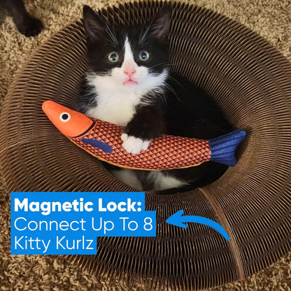 Cat Toy with Bells Accordion