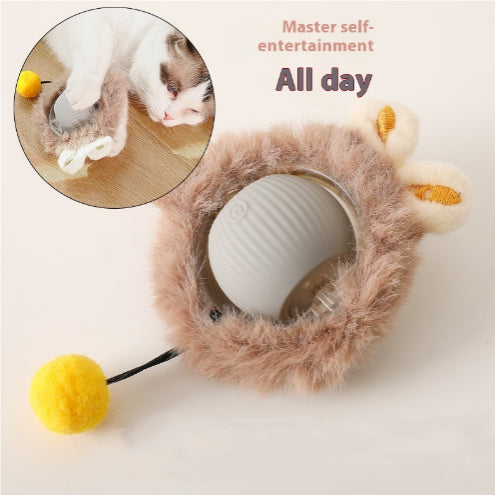 Cat Toy Self