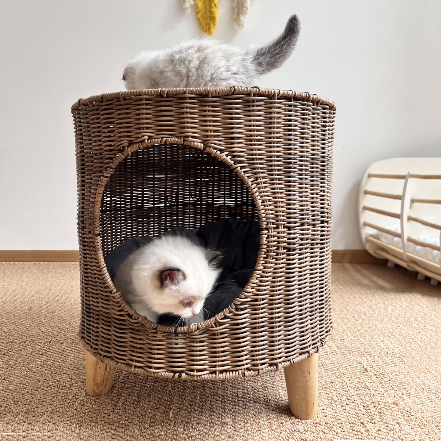 Warm, Semi-enclosed Wicker Cat Bed For Winter