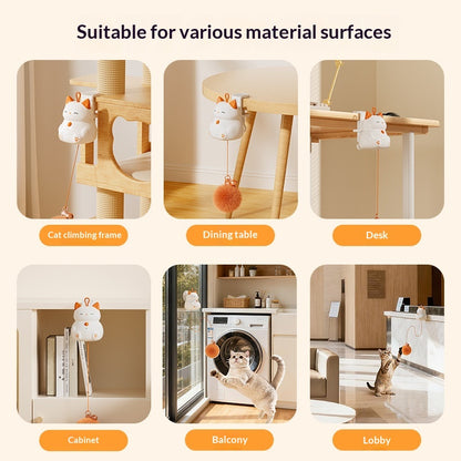 Elevating Smart Pet Cat Self