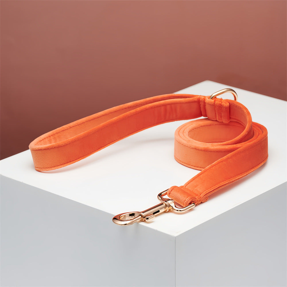 Dog Outdoor Leash High