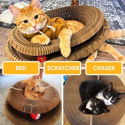 Cat Toy with Bells Accordion