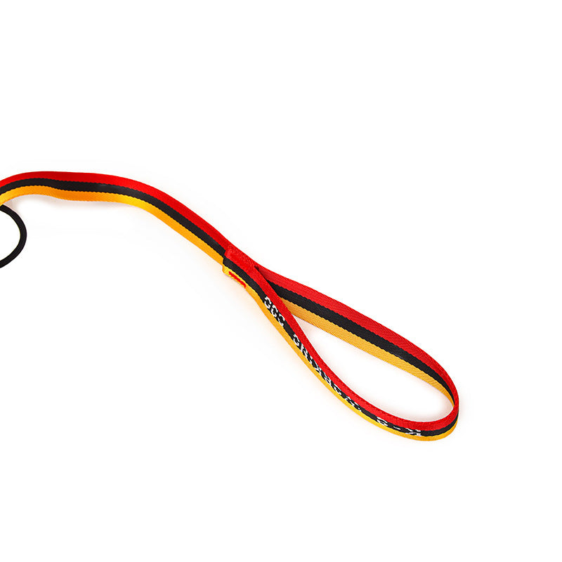 Minimalist Pet Leash Easy