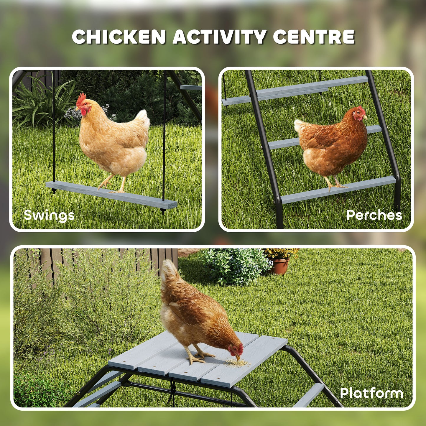 Chicken Coop Perches with Adjustable Swing