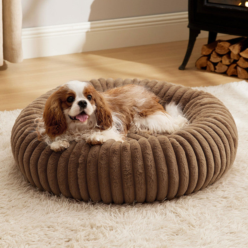 Pet Bed High